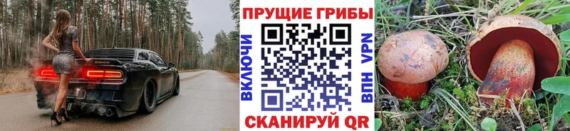 Купить закладки Новозыбков Галлюциногенные грибы Cubensis